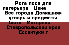 Рога лося для интерьера › Цена ­ 3 300 - Все города Домашняя утварь и предметы быта » Интерьер   . Ставропольский край,Ессентуки г.